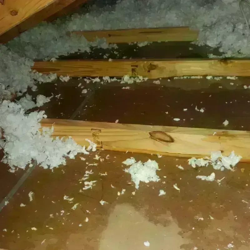 Attic Water Damage in Meigs County, OH